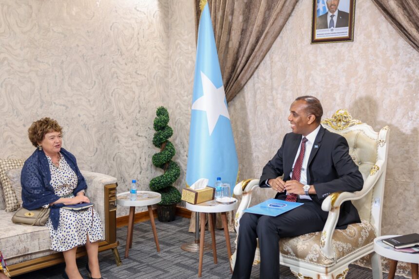 Pm Hamza Abdi Barre Meets With Un Special Representative For Somalia Somali National News Agency