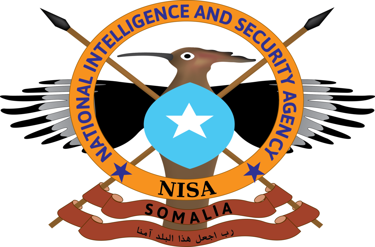 NISA Airstrike Eliminates Key Kharijite Leaders in Decrease Shabelle – Somali Nationwide Information Company