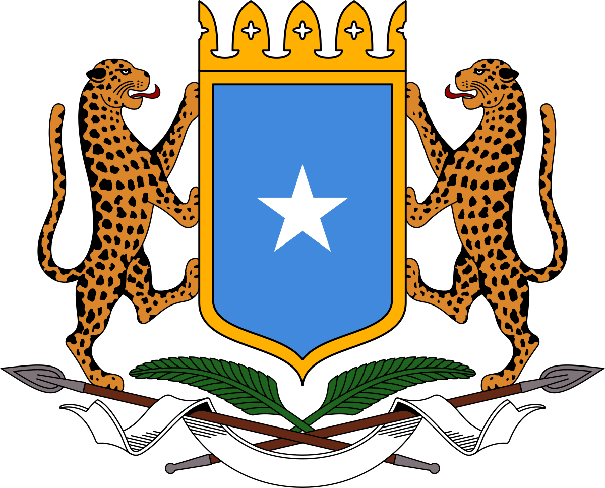 Federal Government of Somalia Affirms Progress in Counterterrorism ...