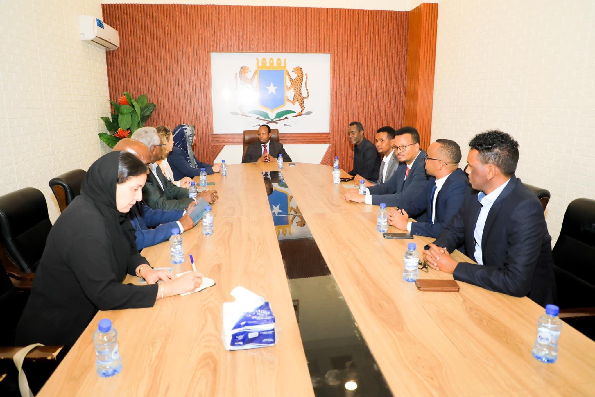 Minister of Well being welcomes WHO official – Somali Nationwide Information Company