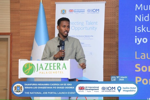 Ministry of Labour launches the National Job Portal – Somali National ...