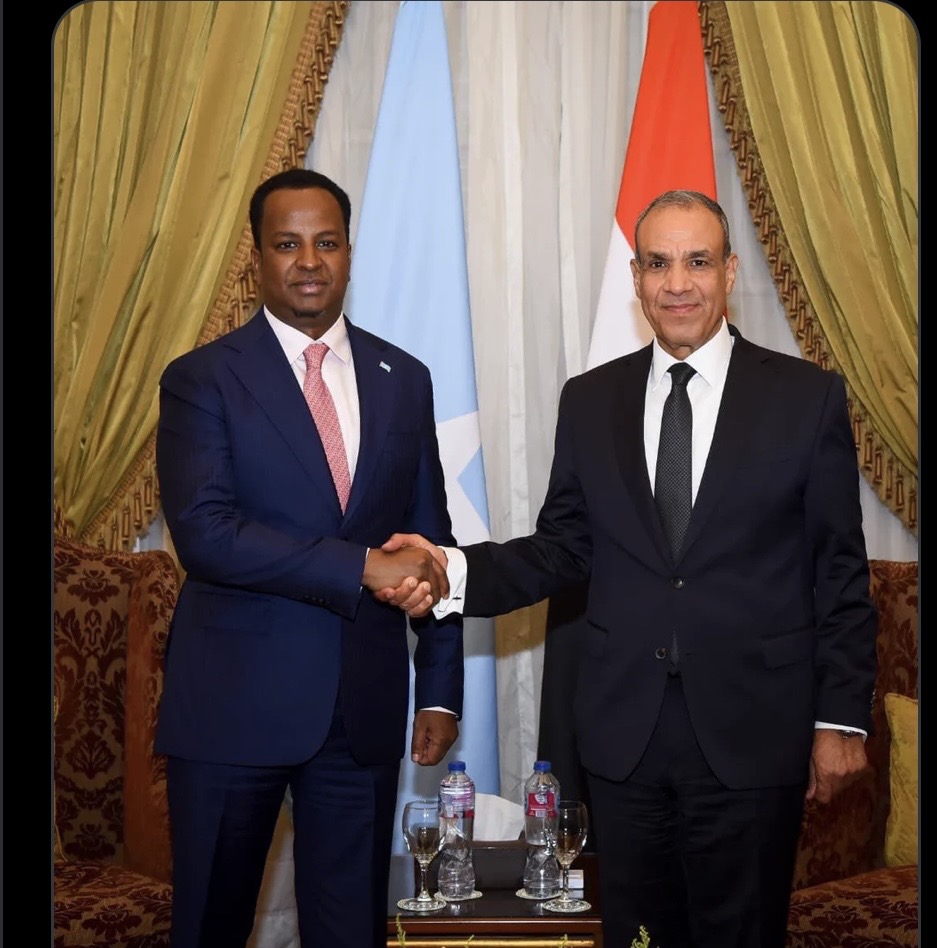 وزير الخارجية يلتقي نظيره المصري في القاهرة