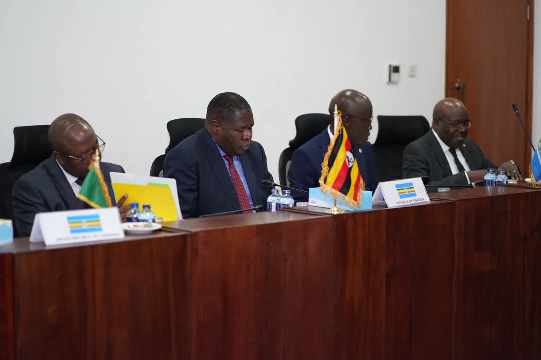 IMG_3766.jpeg