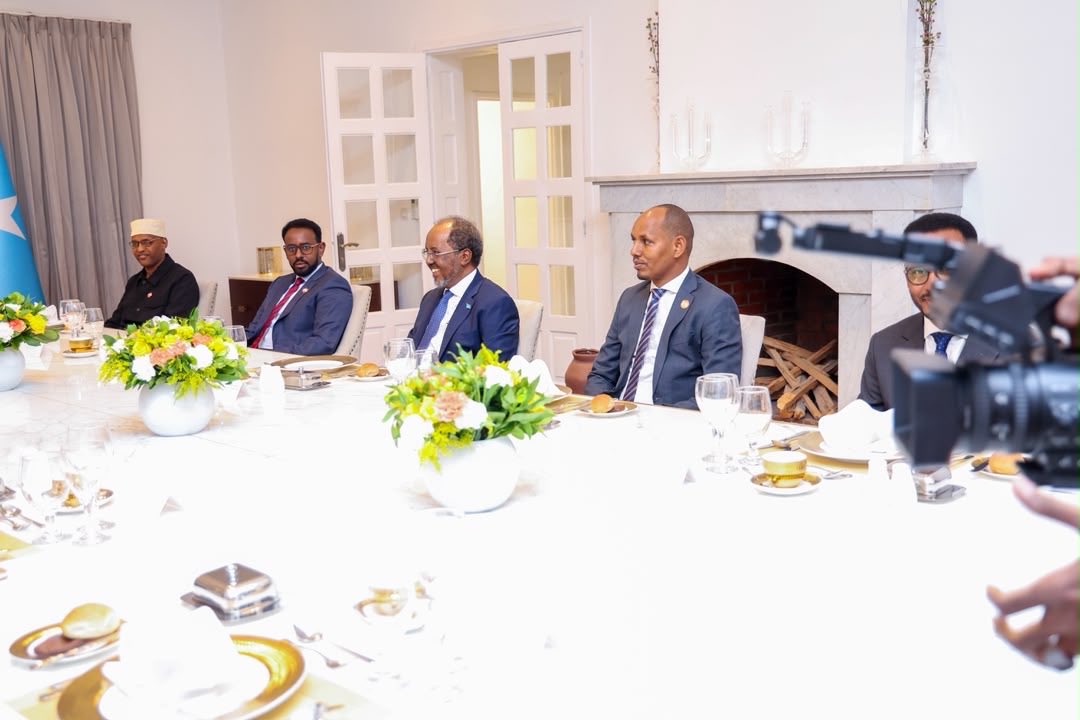 IMG_7785.jpeg