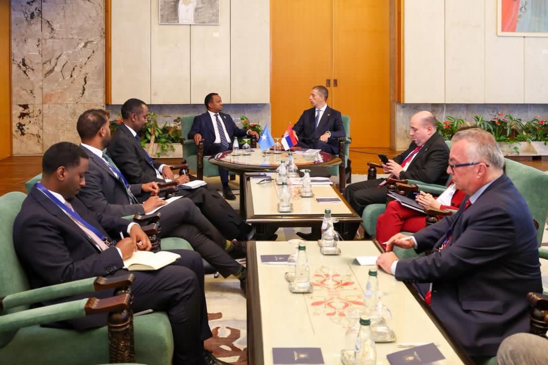 Somalia, Serbia Hold Talks on Strengthening Bilateral Relations