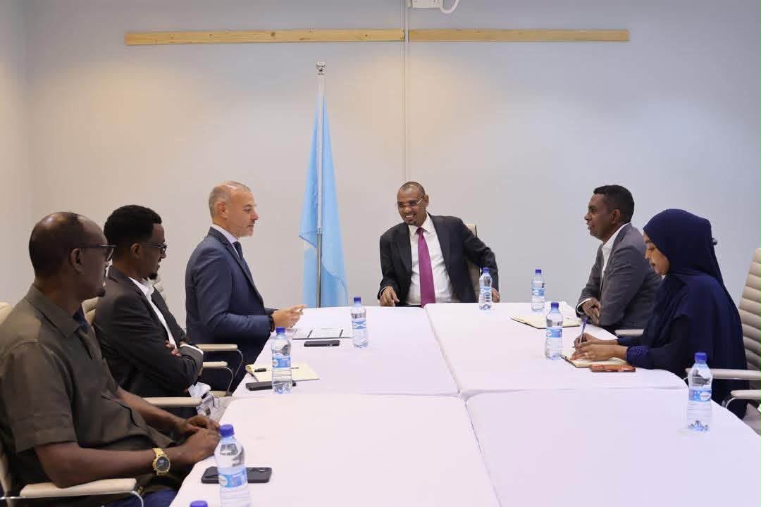 Somalia, UNDP Discuss Strengthening Cooperation in Livestock Sector