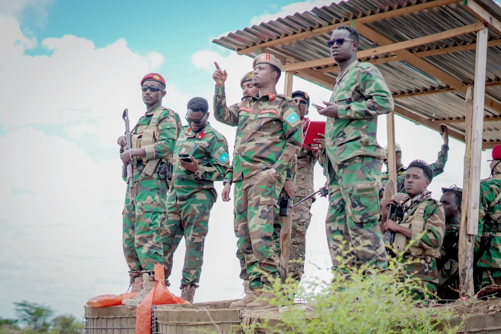 IMG_2741.jpeg
