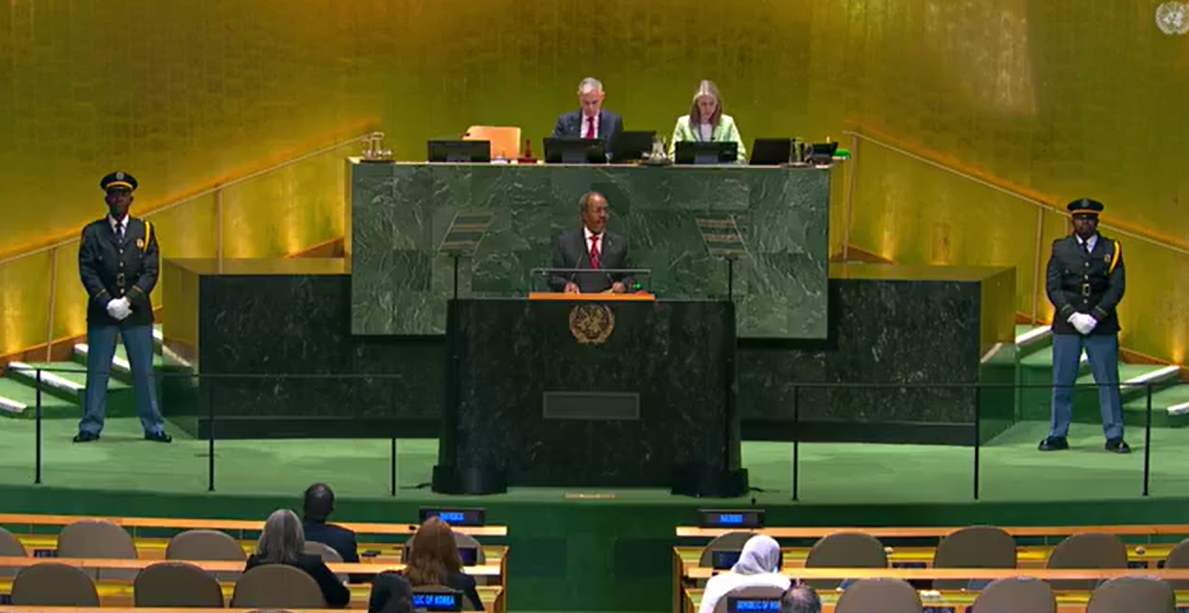 Somalia tells the General Assembly it is not asking the UN to leave, but to work differently