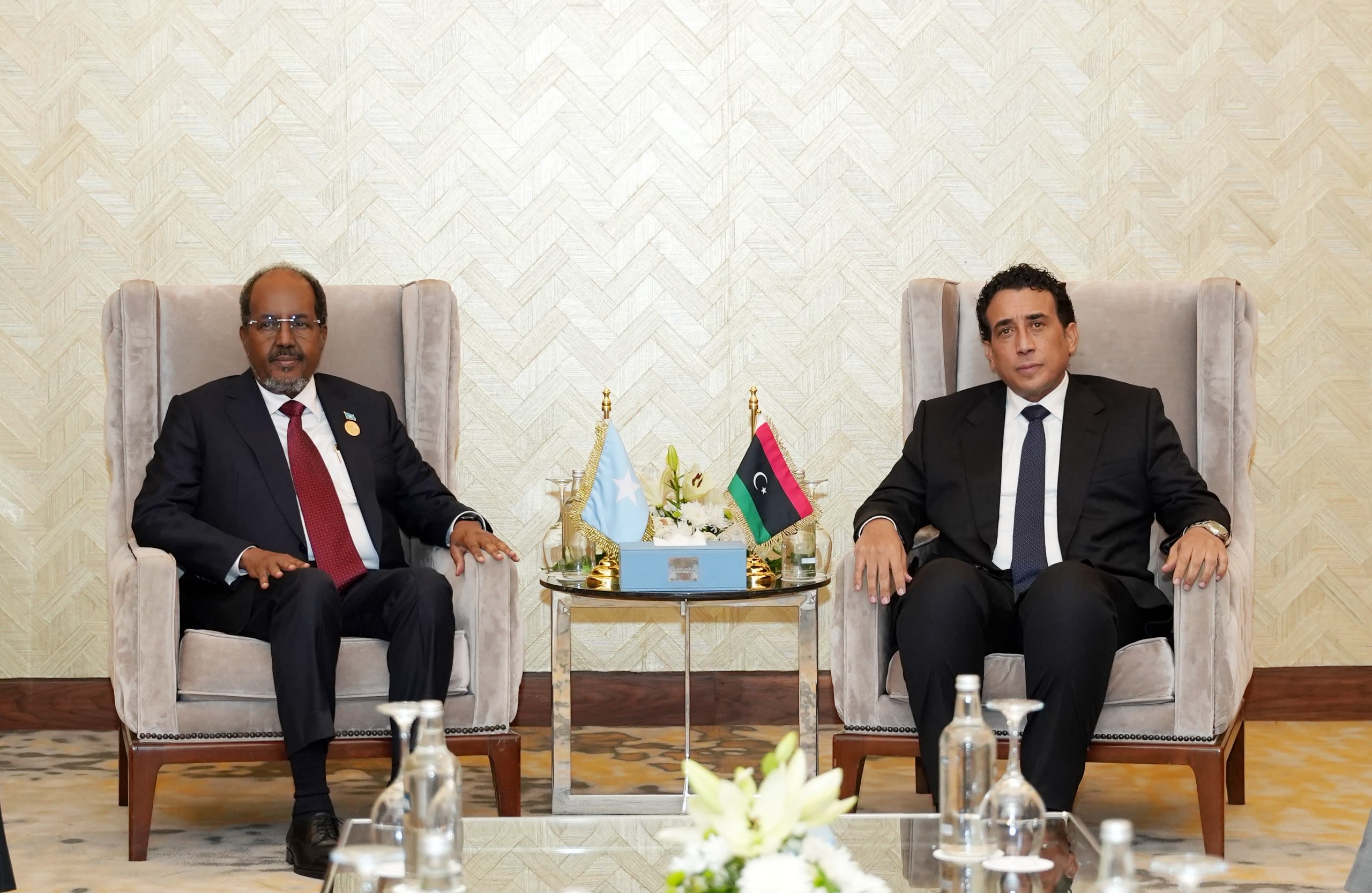 Somalia, Libya discuss strengthening longstanding bilateral ties