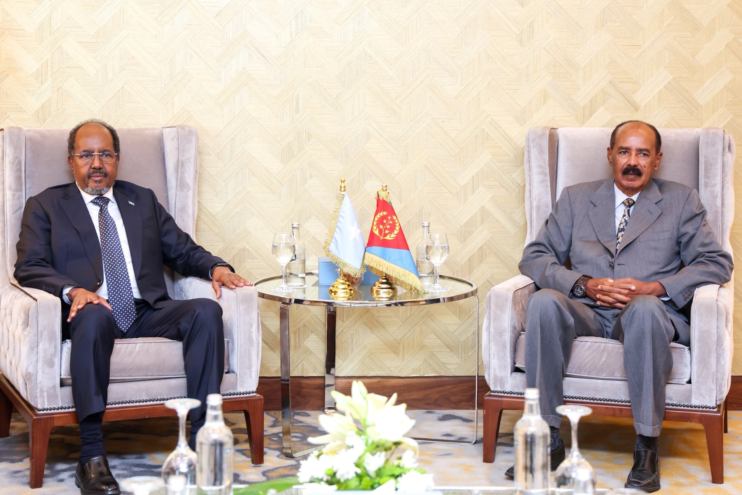 Somalia, Eritrea Discuss Mutual Interests and Regional Security