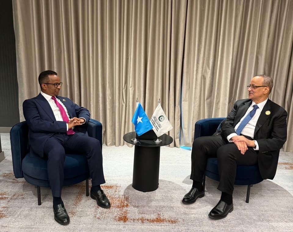 Somali FM Attends OIC Council of Foreign Ministers, Meets OIC Secretary-General
