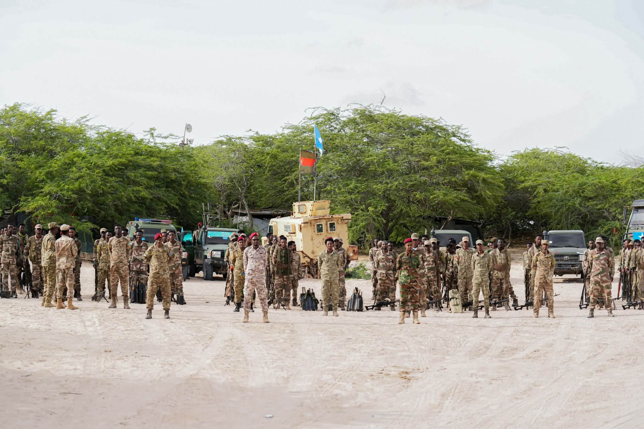 18315.jpg
