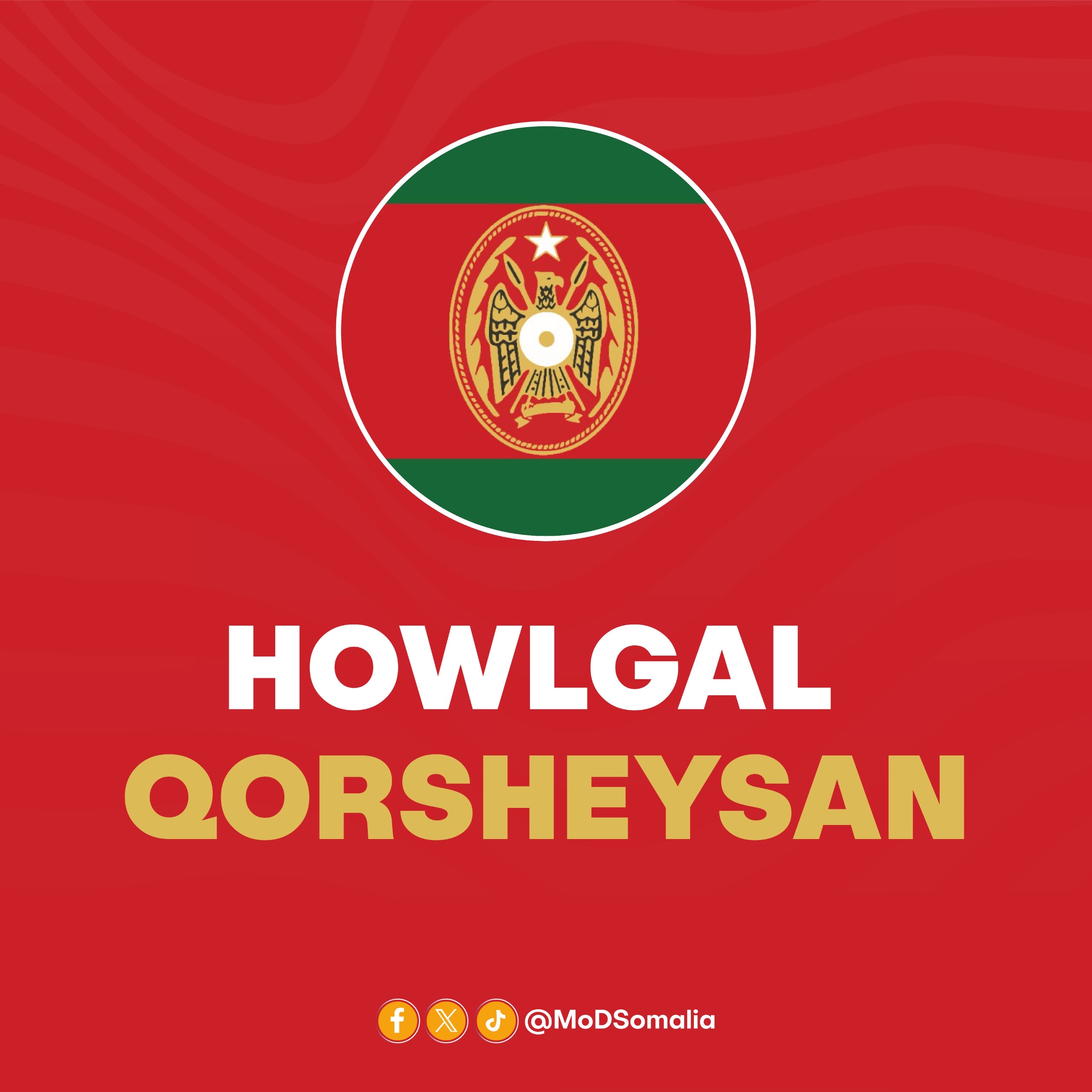 Khawaarijta Al-Shabaab ah oo lagu dilay duqeymo ka dhacay Deegaanka Goobo
