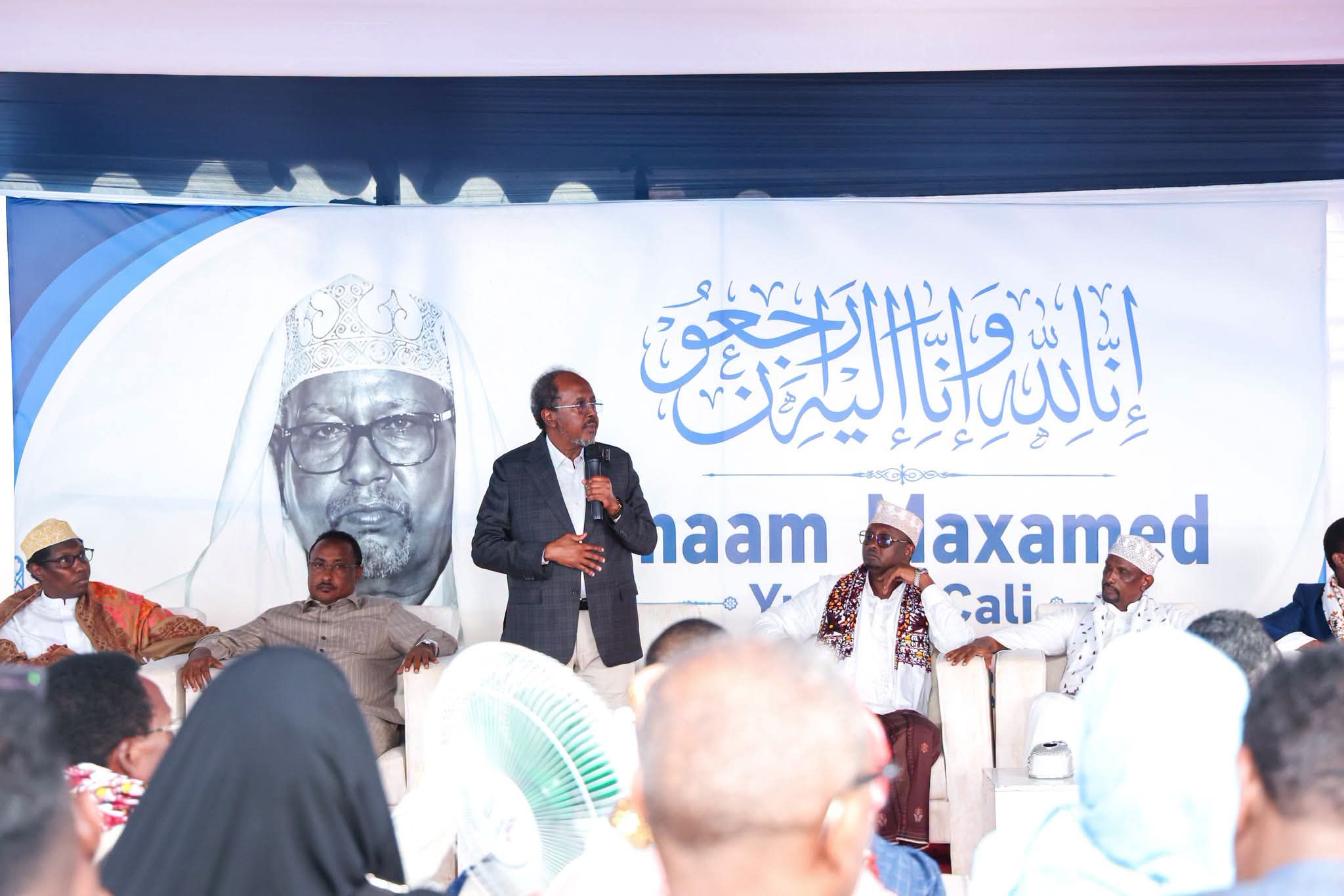 23497.jpg