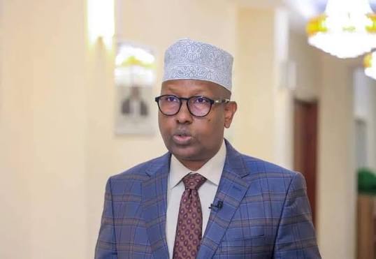 Duqeyn ka dhacday degmada Aaden Yabaal oo lagu naafeeyey horjoogayaal Khawaarij ah