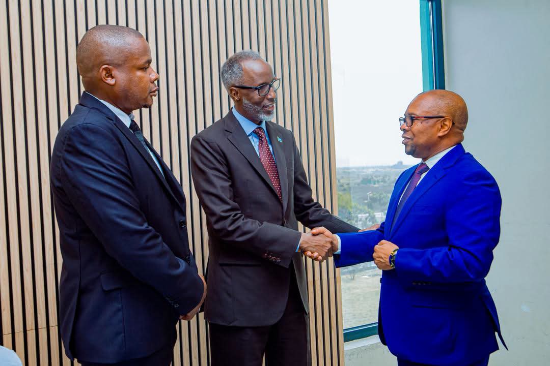 Wasiir dowlaha xafiiska Ra'iisal wasaaraha oo la kulmay wasiirka madaxtooyada Tanzania