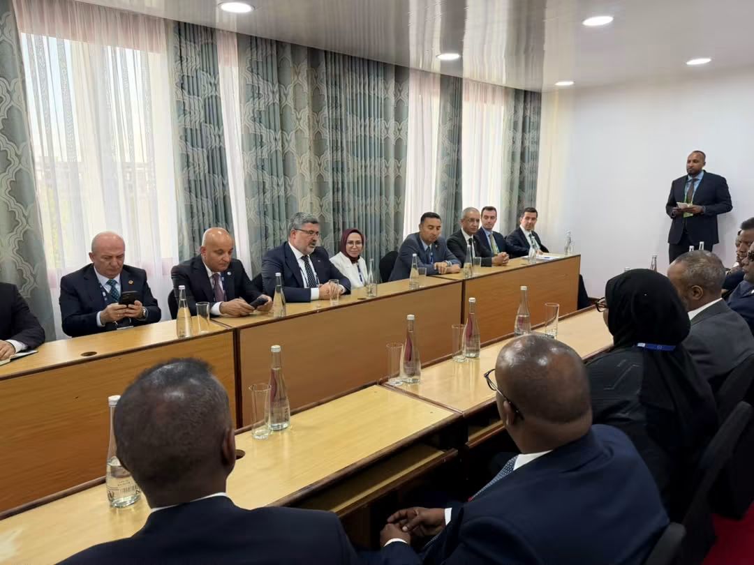 1000037052.jpg