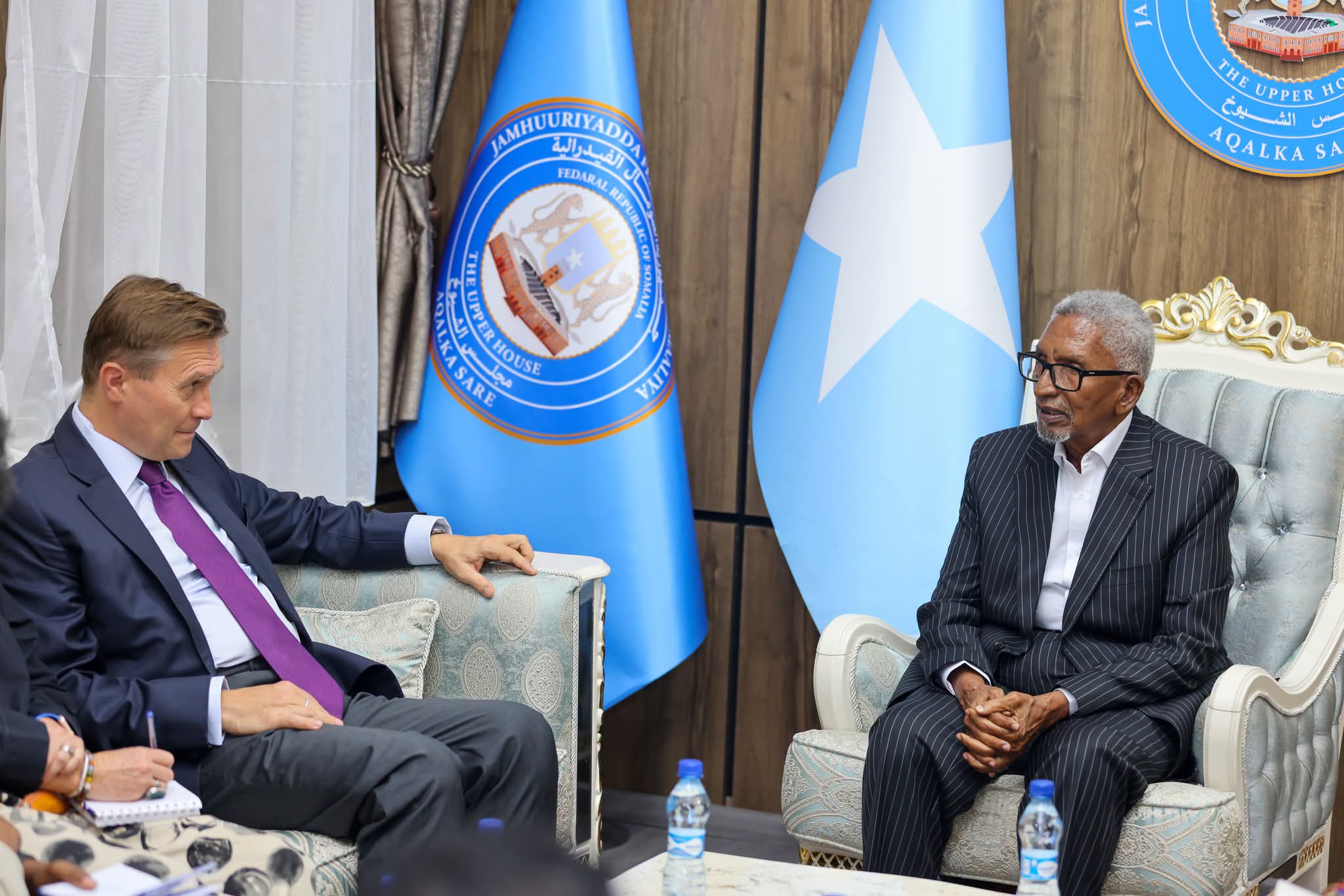Guddoomiyaha aqalka sare oo qaabilay danjiraha cusub ee Midowga Yurub